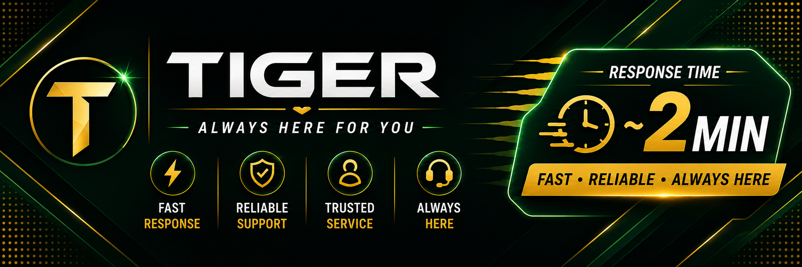 Tiger SERVICES - Professional IT & Technology Solutions